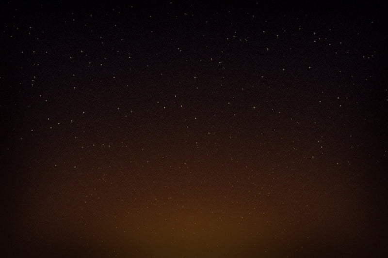 Gratitude Practice — Why the Best Things in Life Are Beautiful Accidents